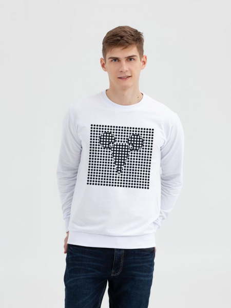 Миниатюра WWW (1000)