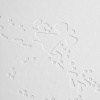 Миниатюра WWW (1000)