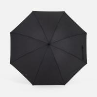 Зонт-трость Rainzee, черный