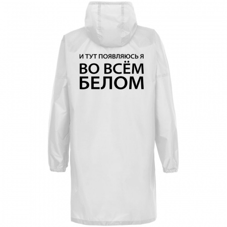 Миниатюра WWW (1000)