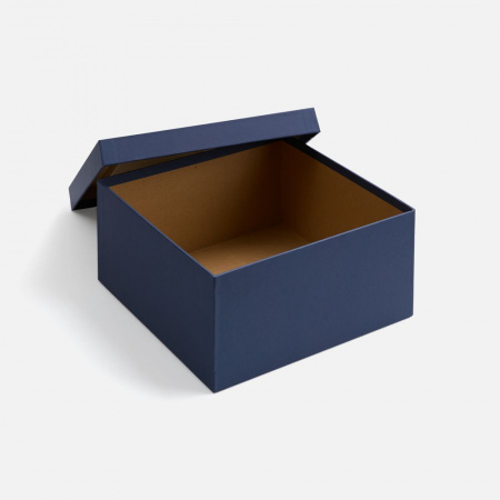 Миниатюра WWW (1000)