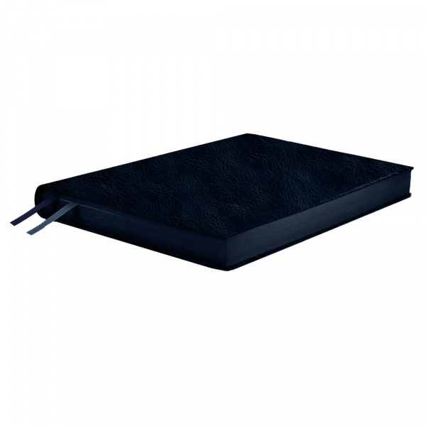Миниатюра WWW (1000)