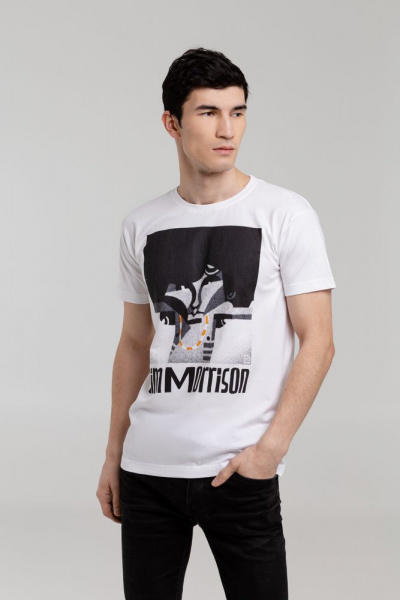 Миниатюра WWW (1000)