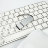 Миниатюра WWW (1000)