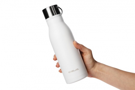 Миниатюра WWW (1000)